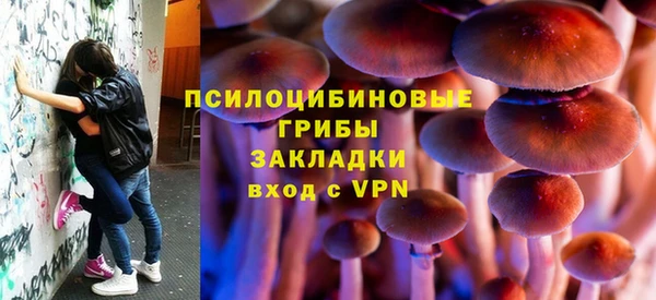 гидра Алзамай