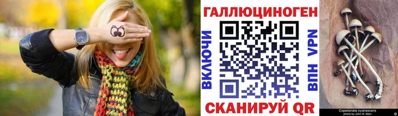 это как зайти  Севастополь  Псилоцибиновые грибы MAGIC MUSHROOMS  наркотики 