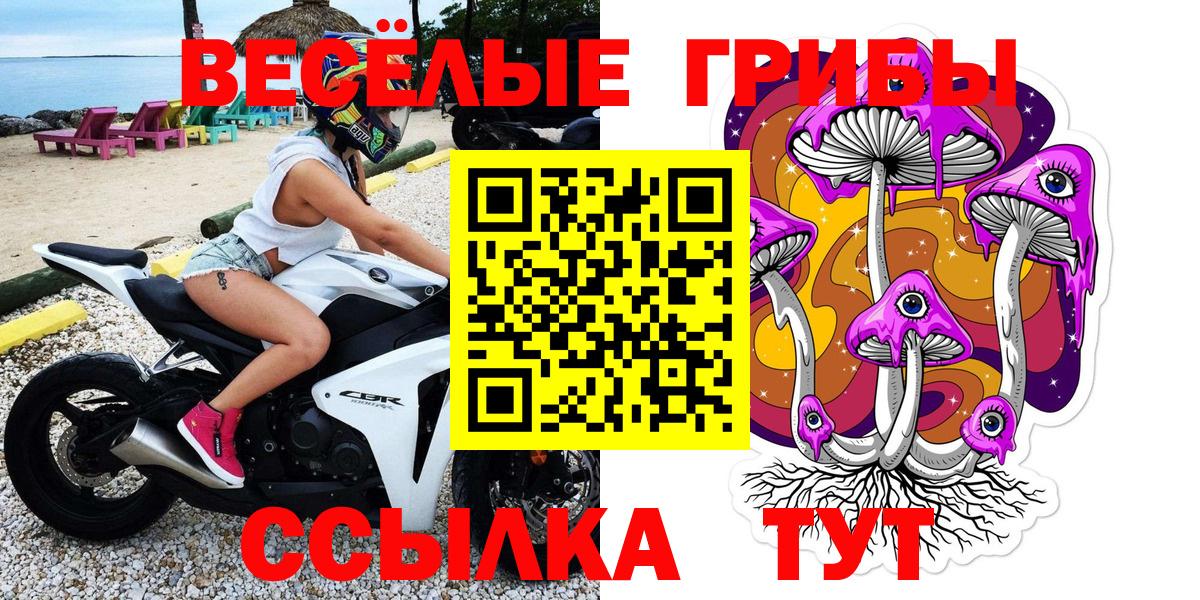 Галлюциногенные грибы Cubensis  Вход с VPN  Галлюциногенные грибы мицелий  Севастополь 