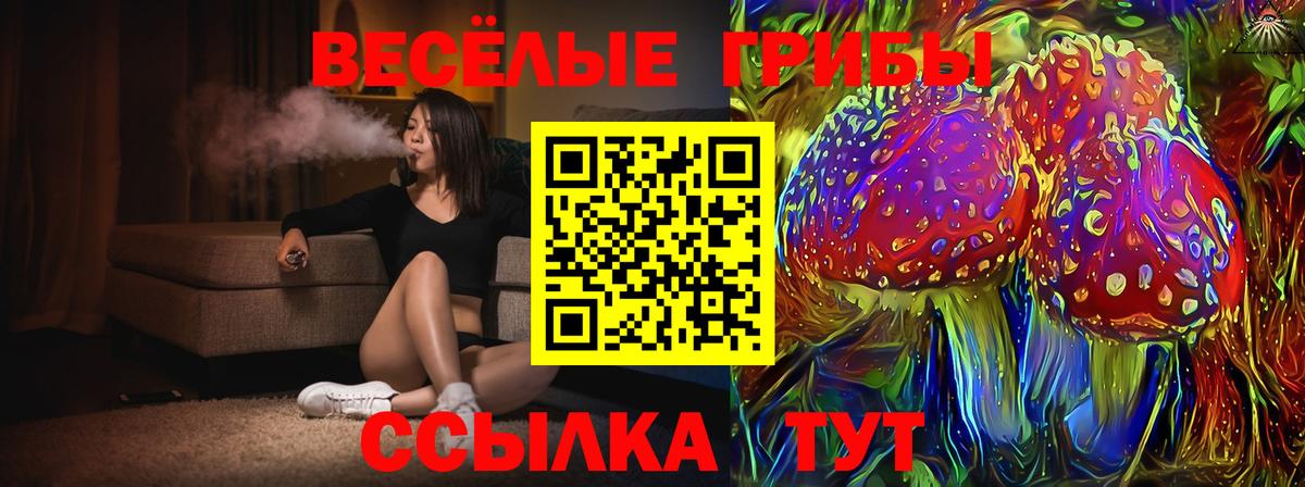 Псилоцибиновые грибы MAGIC MUSHROOMS Севастополь