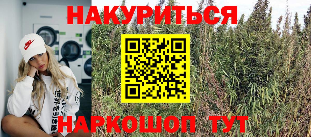 Марихуана тримм  МАРИХУАНА сатива  Бошки марихуана план  Севастополь  Вход с VPN 